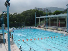 九龍仔游泳池 - 藍鯨游泳學校｜Blue Whale Swim School